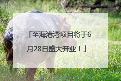 至海港湾项目将于6月28日盛大开业！