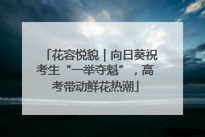 花容悦貌｜向日葵祝考生“一举夺魁”，高考带动鲜花热潮