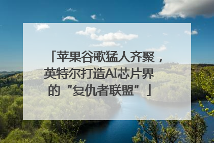 苹果谷歌猛人齐聚，英特尔打造AI芯片界的“复仇者联盟”