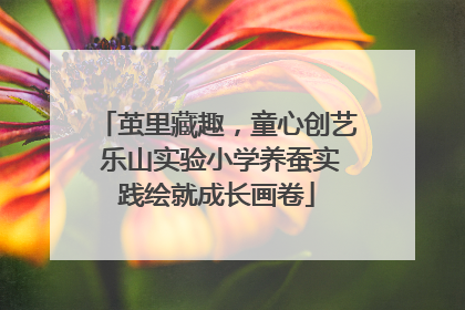 茧里藏趣，童心创艺 乐山实验小学养蚕实践绘就成长画卷