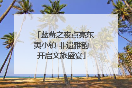 蓝莓之夜点亮东夷小镇 非遗雅韵开启文旅盛宴