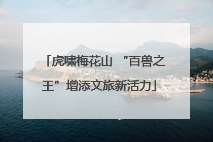 虎啸梅花山 “百兽之王”增添文旅新活力