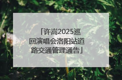 许嵩2025巡回演唱会洛阳站道路交通管理通告