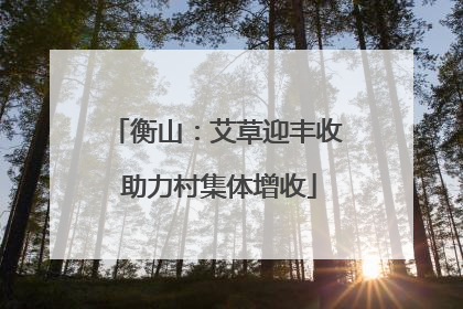 衡山：艾草迎丰收 助力村集体增收