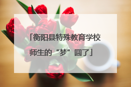 衡阳县特殊教育学校师生的“梦”圆了