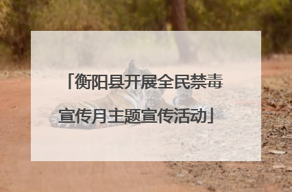 衡阳县开展全民禁毒宣传月主题宣传活动