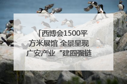 西博会1500平方米展馆 全景呈现广安产业“建圈强链”｜西博视界