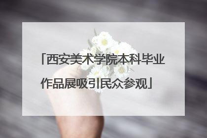 西安美术学院本科毕业作品展吸引民众参观