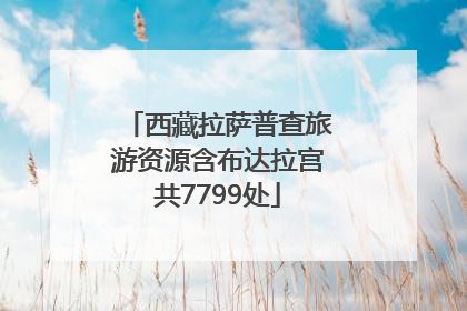 西藏拉萨普查旅游资源含布达拉宫共7799处