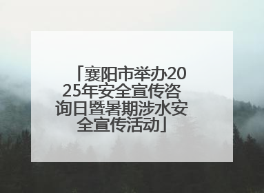 襄阳市举办2025年安全宣传咨询日暨暑期涉水安全宣传活动