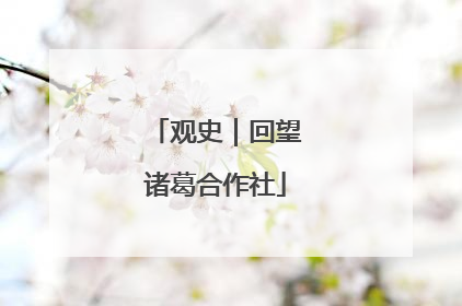 观史｜回望诸葛合作社