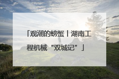 观潮的螃蟹丨湖南工程机械“双城记”