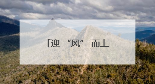 迎 “风” 而上，全力筑牢抗击台风 “蝴蝶” 防线