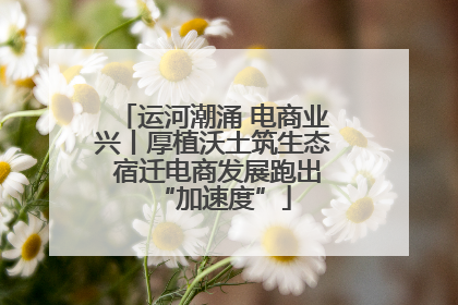 运河潮涌 电商业兴丨厚植沃土筑生态 宿迁电商发展跑出“加速度”