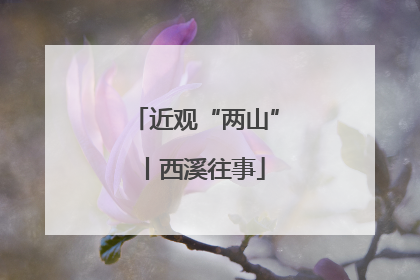 近观“两山”丨西溪往事