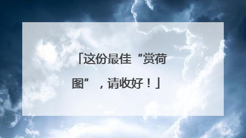 这份最佳“赏荷图”，请收好！