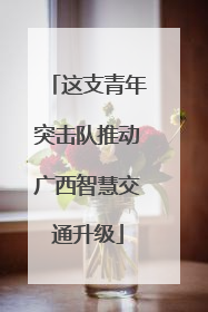 这支青年突击队推动广西智慧交通升级