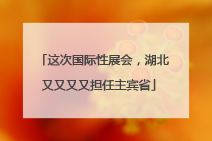 这次国际性展会，湖北又又又又担任主宾省