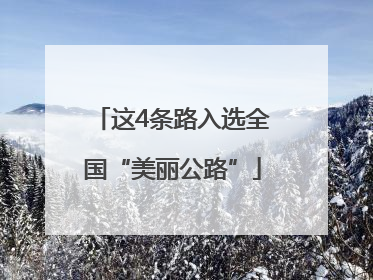 这4条路入选全国“美丽公路”