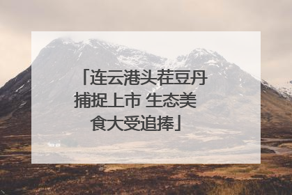 连云港头茬豆丹捕捉上市 生态美食大受追捧