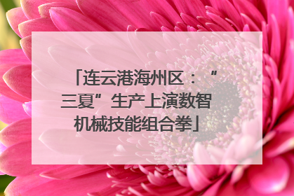 连云港海州区：“三夏”生产上演数智机械技能组合拳