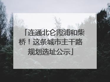 连通北仑霞浦和柴桥！这条城市主干路规划选址公示