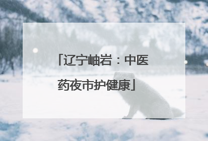 辽宁岫岩：中医药夜市护健康