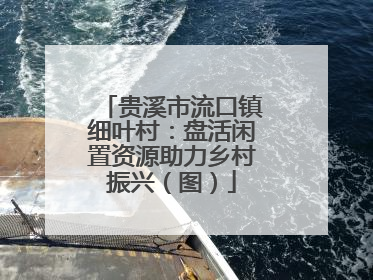 贵溪市流口镇细叶村：盘活闲置资源助力乡村振兴（图）