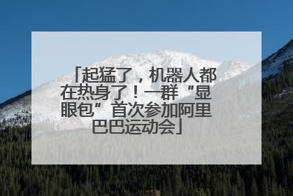 起猛了，机器人都在热身了！一群“显眼包”首次参加阿里巴巴运动会