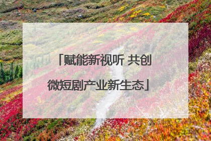 赋能新视听 共创微短剧产业新生态