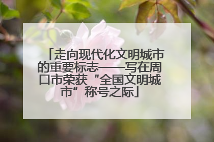 走向现代化文明城市的重要标志——写在周口市荣获“全国文明城市”称号之际