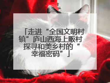 走进“全国文明村镇”庐山西海上畈村 探寻和美乡村的“幸福密码”