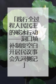 践行全过程人民民主的破冰行动——洞口填补制度空白开居民议事会先河侧记