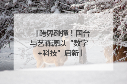 跨界碰撞！国台与艺森源以“数字+科技”启新