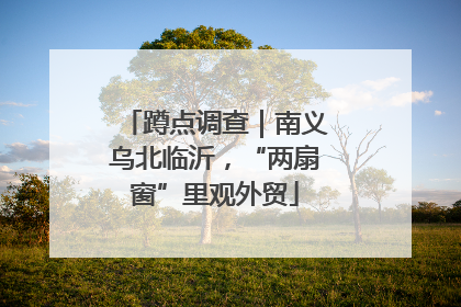 蹲点调查｜南义乌北临沂，“两扇窗”里观外贸