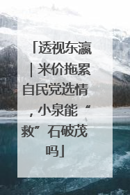 透视东瀛｜米价拖累自民党选情，小泉能“救”石破茂吗