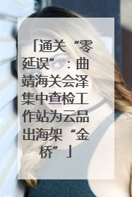 通关“零延误”：曲靖海关会泽集中查检工作站为云品出海架“金桥”