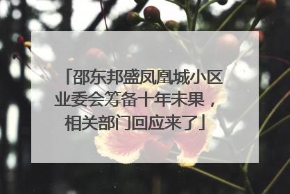 邵东邦盛凤凰城小区业委会筹备十年未果，相关部门回应来了