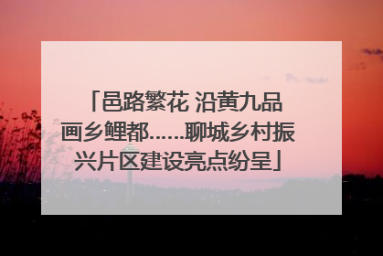 邑路繁花 沿黄九品 画乡鲤都……聊城乡村振兴片区建设亮点纷呈
