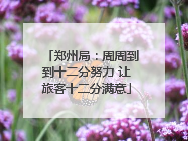 郑州局：周周到到十二分努力 让旅客十二分满意