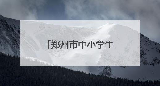 郑州市中小学生荷球锦标赛落幕