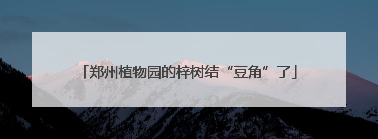郑州植物园的梓树结“豆角”了
