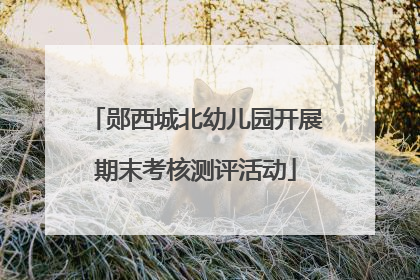 郧西城北幼儿园开展期末考核测评活动