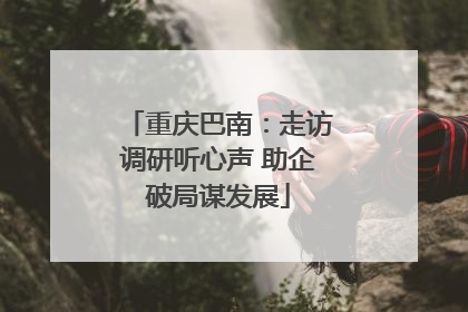 重庆巴南：走访调研听心声 助企破局谋发展