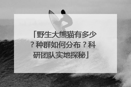 野生大熊猫有多少？种群如何分布？科研团队实地探秘