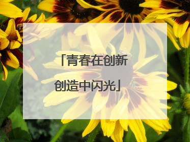 青春在创新创造中闪光