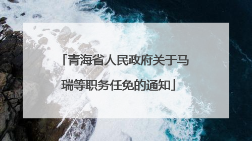 青海省人民政府关于马瑞等职务任免的通知