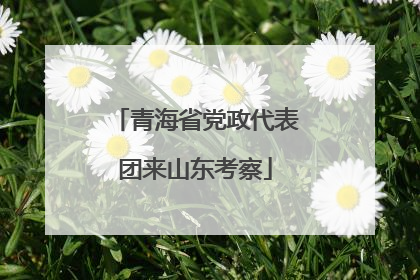 青海省党政代表团来山东考察