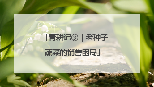 青耕记③｜老种子蔬菜的销售困局