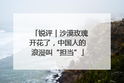 锐评｜沙漠玫瑰开花了，中国人的浪漫叫“担当”